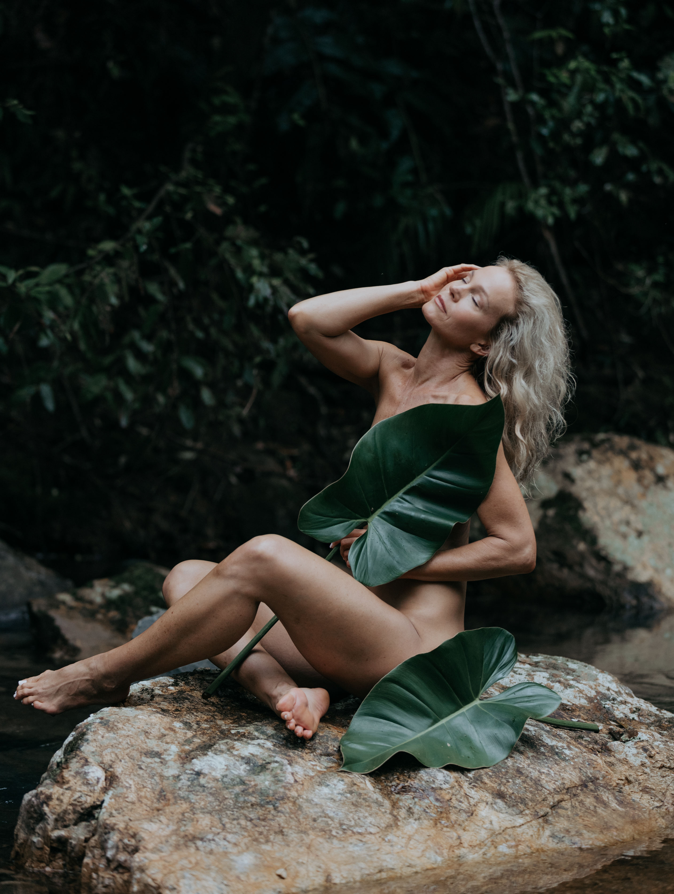 Jungle — natural beauty, leaves & rock